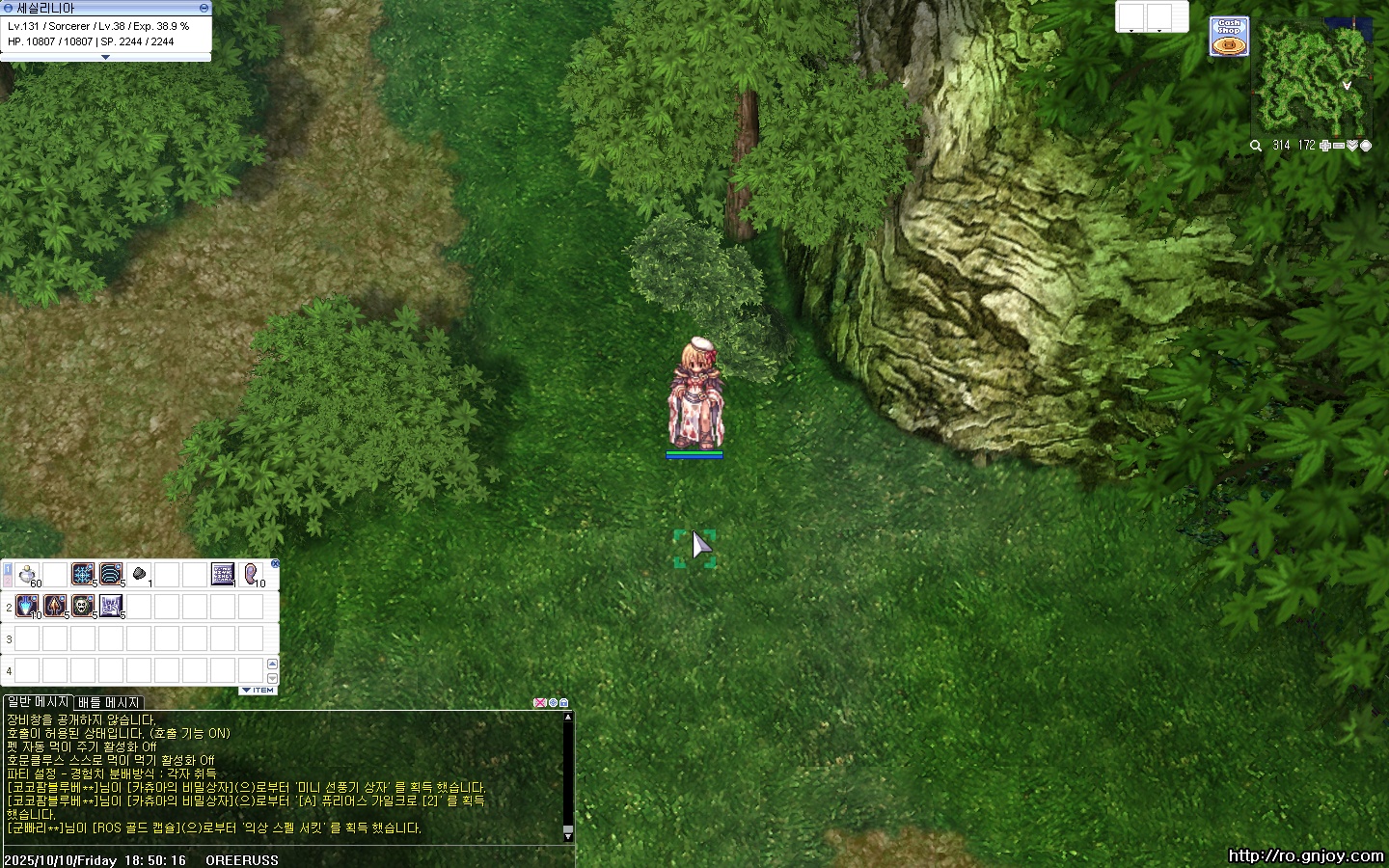 스크린샷 스틸이미지