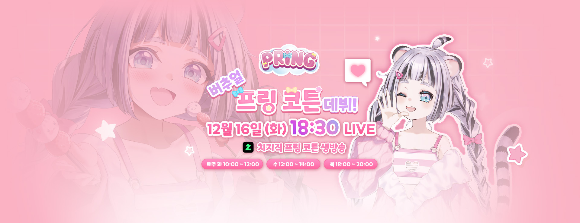 프링 코튼 데뷔 방송! : 12/16 오후 6시 30분 라이브 시작!