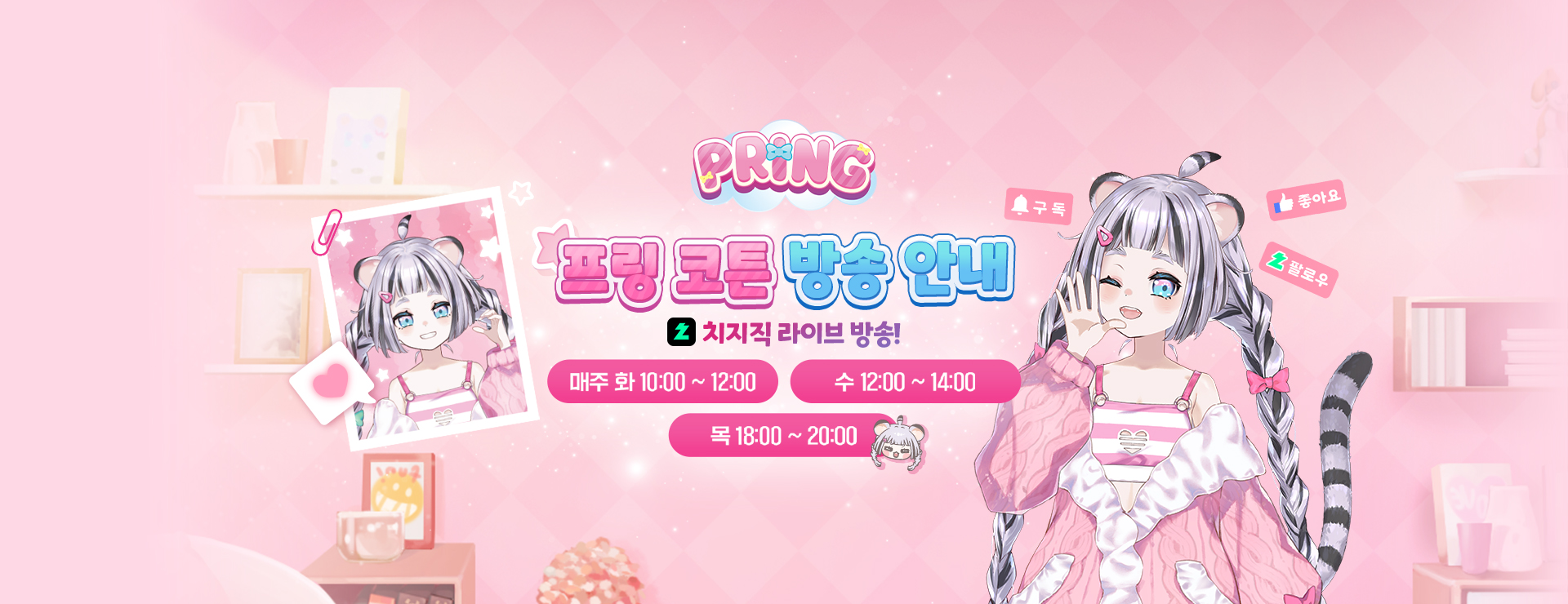 프링 코튼 방송 안내! : K-Tuber