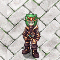 의상 부엉이 류